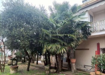 1591963_c_documento_con_foto-2 - Copia.jpg - Appartamento via 26 aprile 154, Badia Polesine - foto 3