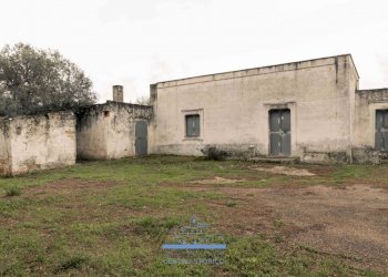 4141.jpg - Casale sp 19, Ostuni - foto 3