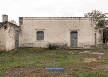 4242.jpg - Casale sp 19, Ostuni - foto 4