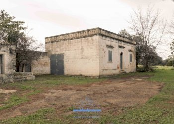 4343.jpg - Casale sp 19, Ostuni - foto 5