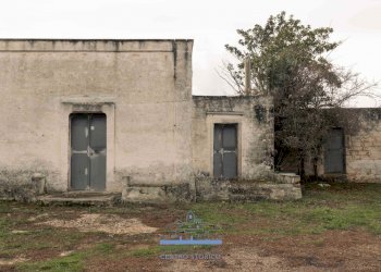 4444.jpg - Casale sp 19, Ostuni - foto 6