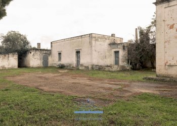 4646.jpg - Casale sp 19, Ostuni - foto 7