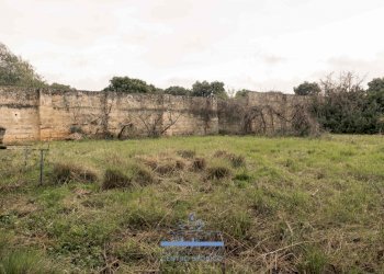 4747.jpg - Casale sp 19, Ostuni - foto 8