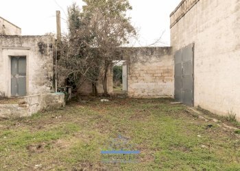 5050.jpg - Casale sp 19, Ostuni - foto 11