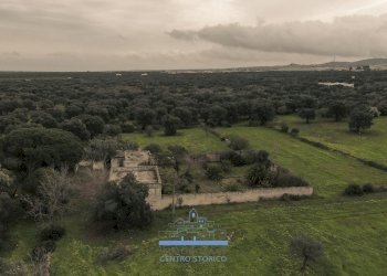 184184.jpg - Casale sp 19, Ostuni - foto 15