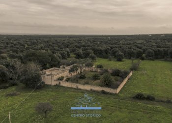 185185.jpg - Casale sp 19, Ostuni - foto 16