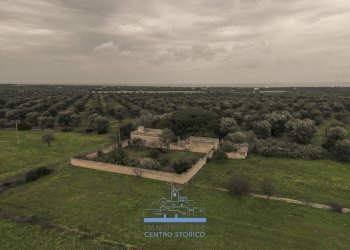 188188.jpg - Casale sp 19, Ostuni - foto 19