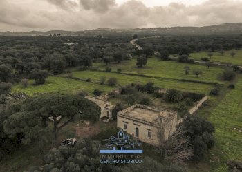 191191.jpg - Casale sp 19, Ostuni - foto 22