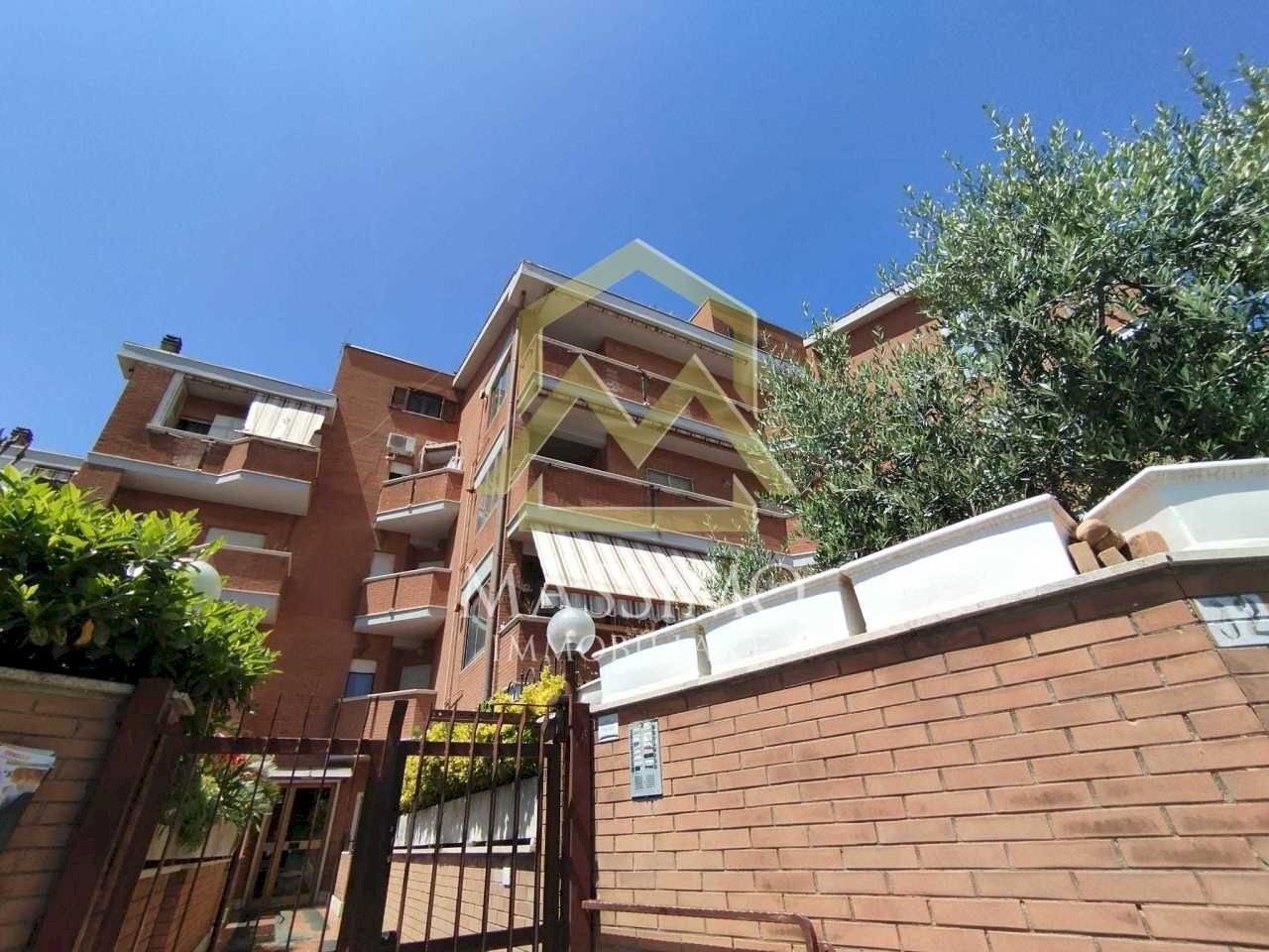 IMG-20240510-WA0006.jpg - Appartamento Via Montegiove Nuovo 32, Genzano di Roma - foto 3