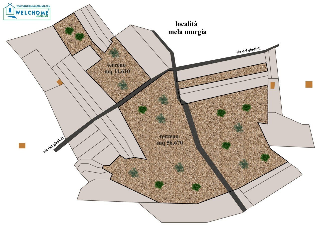 vista d\'insieme.jpg - Terreno agricolo Via dei Gladioli, Quartucciu - foto 3