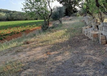 coltivati - Terreno agricolo Via dei Gladioli, Quartucciu - foto 16