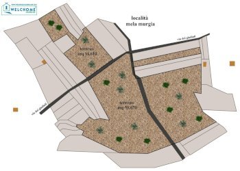 vista d\'insieme.jpg - Terreno agricolo Via dei Gladioli, Quartucciu - foto 3