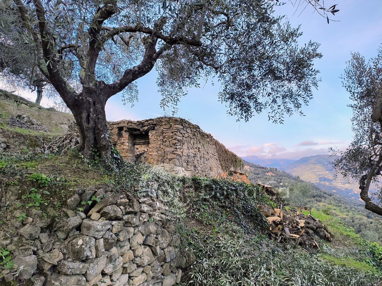 Building land Via Monsignore B. Tornatore, snc, Dolceacqua - photo 1
