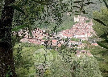 Terreno edificabile Via Monsignore B. Tornatore, snc, Dolceacqua - foto 9