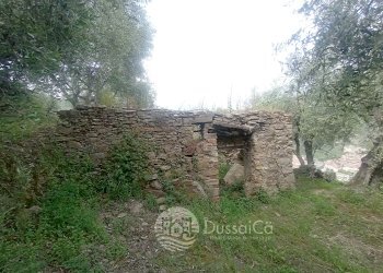 Terreno edificabile Via Monsignore B. Tornatore, snc, Dolceacqua - foto 12