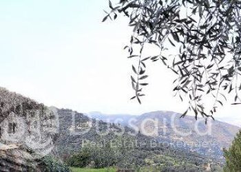 Terreno edificabile Via Monsignore B. Tornatore, snc, Dolceacqua - foto 7