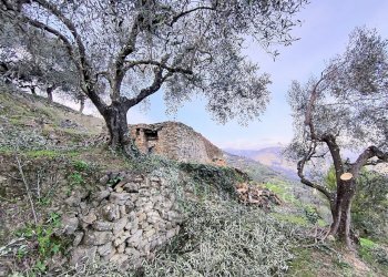 Terreno edificabile Via Monsignore B. Tornatore, snc, Dolceacqua - foto 5