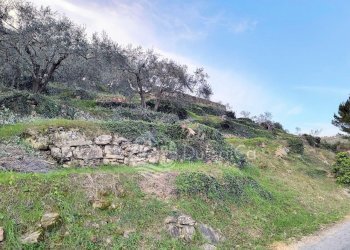 Terreno edificabile Via Monsignore B. Tornatore, snc, Dolceacqua - foto 6