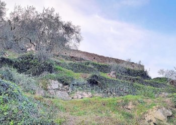 Terreno edificabile Via Monsignore B. Tornatore, snc, Dolceacqua - foto 8
