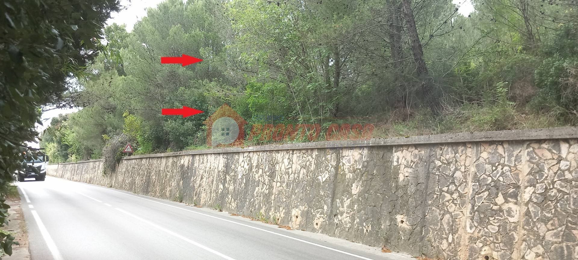 Terreno agricolo Strada Provinciale 528, Vico del Gargano - foto 1