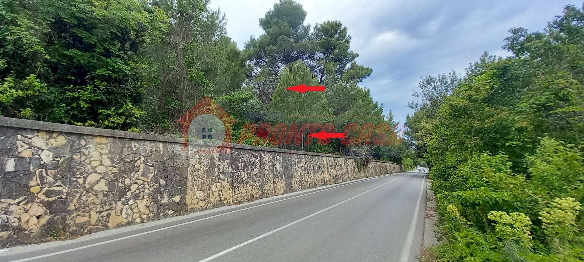 Terreno agricolo Strada Provinciale 528, Vico del Gargano - foto 3