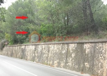 Terreno agricolo Strada Provinciale 528, Vico del Gargano - foto 1