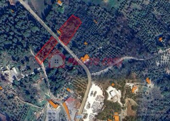 Terreno agricolo Strada Provinciale 528, Vico del Gargano - foto 2