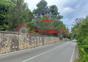 Terreno agricolo Strada Provinciale 528, Vico del Gargano - foto 3