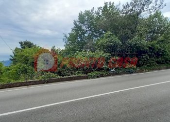 Terreno agricolo Strada Provinciale 528, Vico del Gargano - foto 4