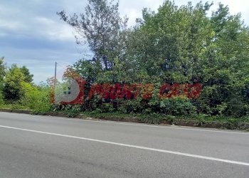 Terreno agricolo Strada Provinciale 528, Vico del Gargano - foto 5