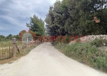 Terreno agricolo Strada Provinciale 528, Vico del Gargano - foto 12