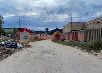 Terreno agricolo Strada Provinciale 528, Vico del Gargano - foto 13