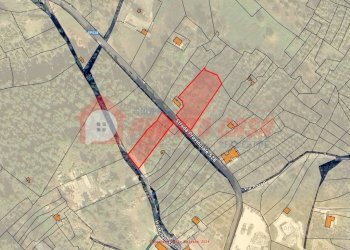 Terreno agricolo Strada Provinciale 528, Vico del Gargano - foto 14