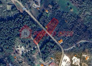 Terreno agricolo Strada Provinciale 528, Vico del Gargano - foto 15