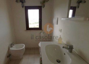 Bagno - Casa indipendente Orciano, Terre Roveresche - foto 22