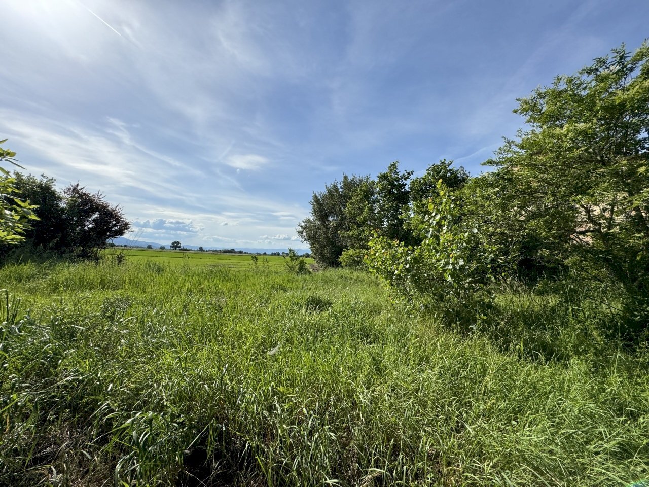 terreno - Casale Via del Leone, Prato - foto 3