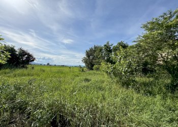 terreno - Casale Via del Leone, Prato - foto 3