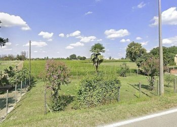 f3.jpg - Casa indipendente via roma  11, Villamarzana - foto 4