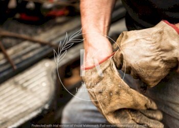 IMG-20240506-WA0022.jpg - Casale Orco Feglino, Orco Feglino - foto 14