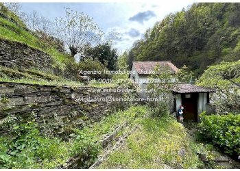 Terreno - Casa indipendente Frazione Ponte Spoccia, 7, Valle Cannobina - foto 29