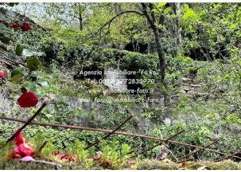 Terreno - Casa indipendente Frazione Ponte Spoccia, 7, Valle Cannobina - foto 31