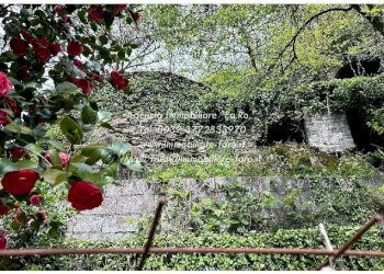 Giardino - Casa indipendente Frazione Ponte Spoccia, 7, Valle Cannobina - foto 32