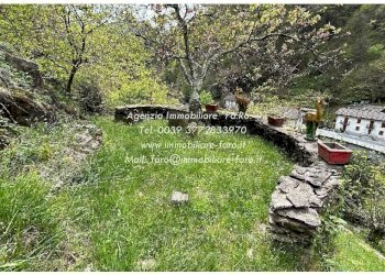Terreno - Casa indipendente Frazione Ponte Spoccia, 7, Valle Cannobina - foto 33