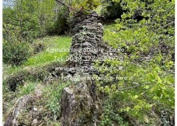 Terreno - Casa indipendente Frazione Ponte Spoccia, 7, Valle Cannobina - foto 38