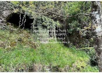Terreno - Casa indipendente Frazione Ponte Spoccia, 7, Valle Cannobina - foto 39