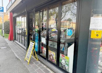 esterno - Edicole - Edicole con Chiosco via Borgo Palazzo, Bergamo - foto 9