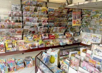 interno - Edicole - Edicole con Chiosco via Borgo Palazzo, Bergamo - foto 10