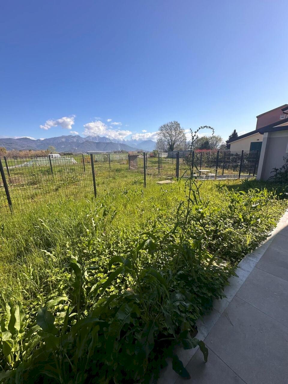 502e8983-edaa-46b5-bd3a-f182c647930e.jpg - Casa semi indipendente Via Litoranea 22, Ameglia - foto 1