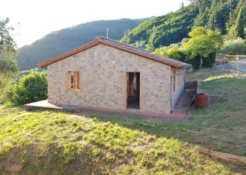 20210625_195933.jpg - Rustico Via di Matraia, Capannori - foto 5