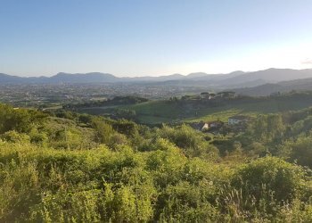 20210625_195644.jpg - Rustico Via di Matraia, Capannori - foto 11